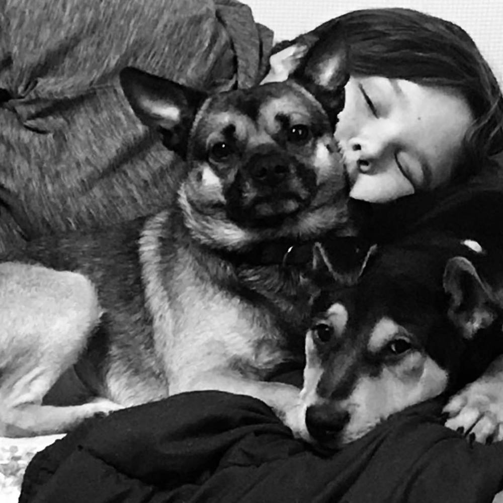 Meet your Posher, Laurel